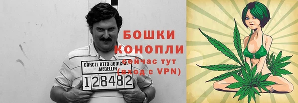 трава Алзамай