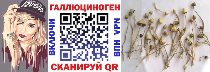Галлюциногенные грибы прущие грибы  где купить   даркнет Telegram  Апрелевка 
