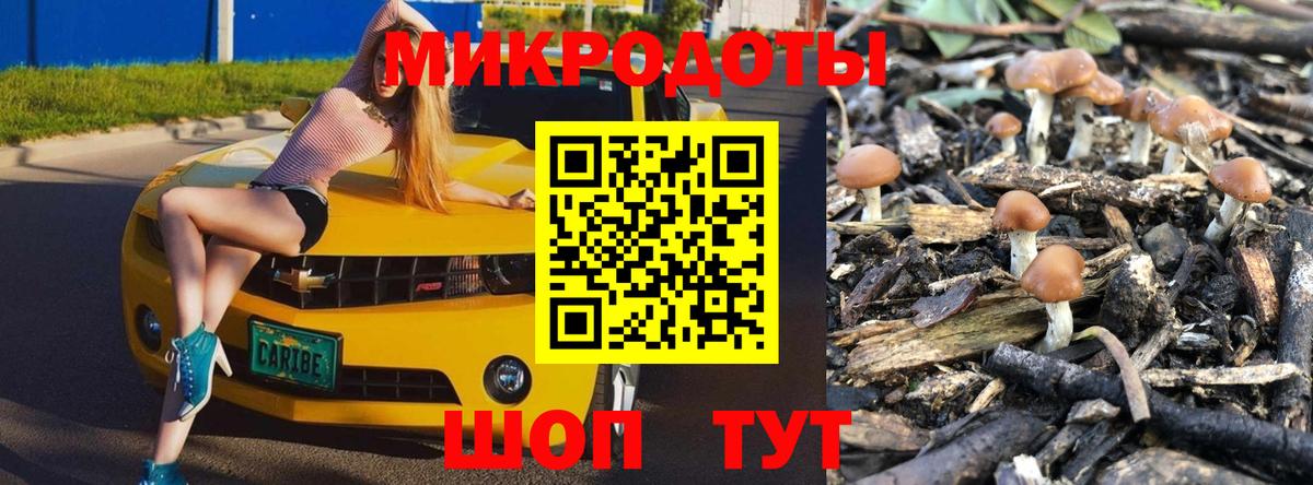 Галлюциногенные грибы Cubensis Апрелевка